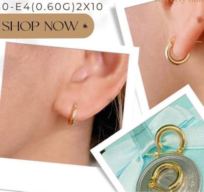 Earrings 2x10 K18
