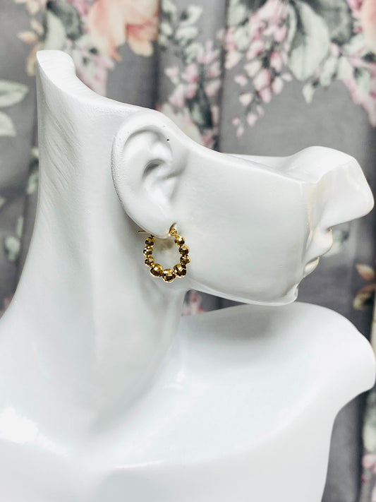 Earrings K18