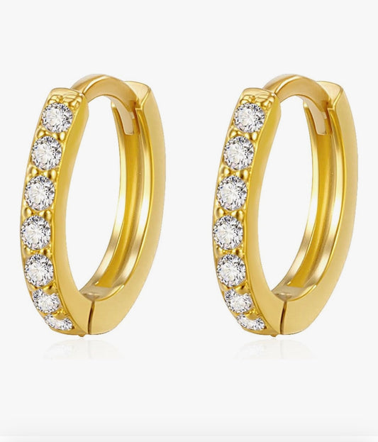 Silver 925 earrings